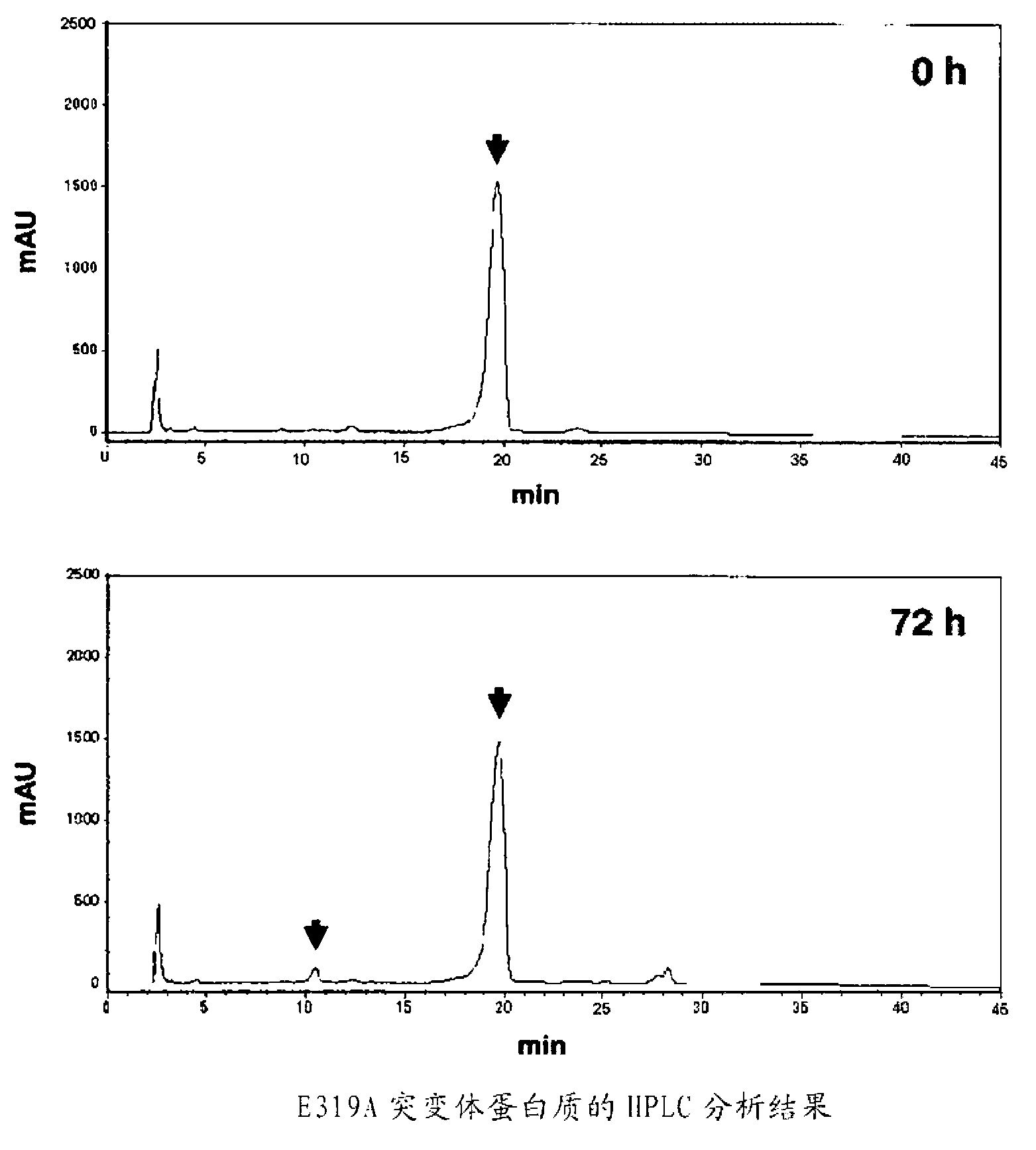 Novel enzyme protein, process for production of enzyme protein, and gene encoding enzyme protein