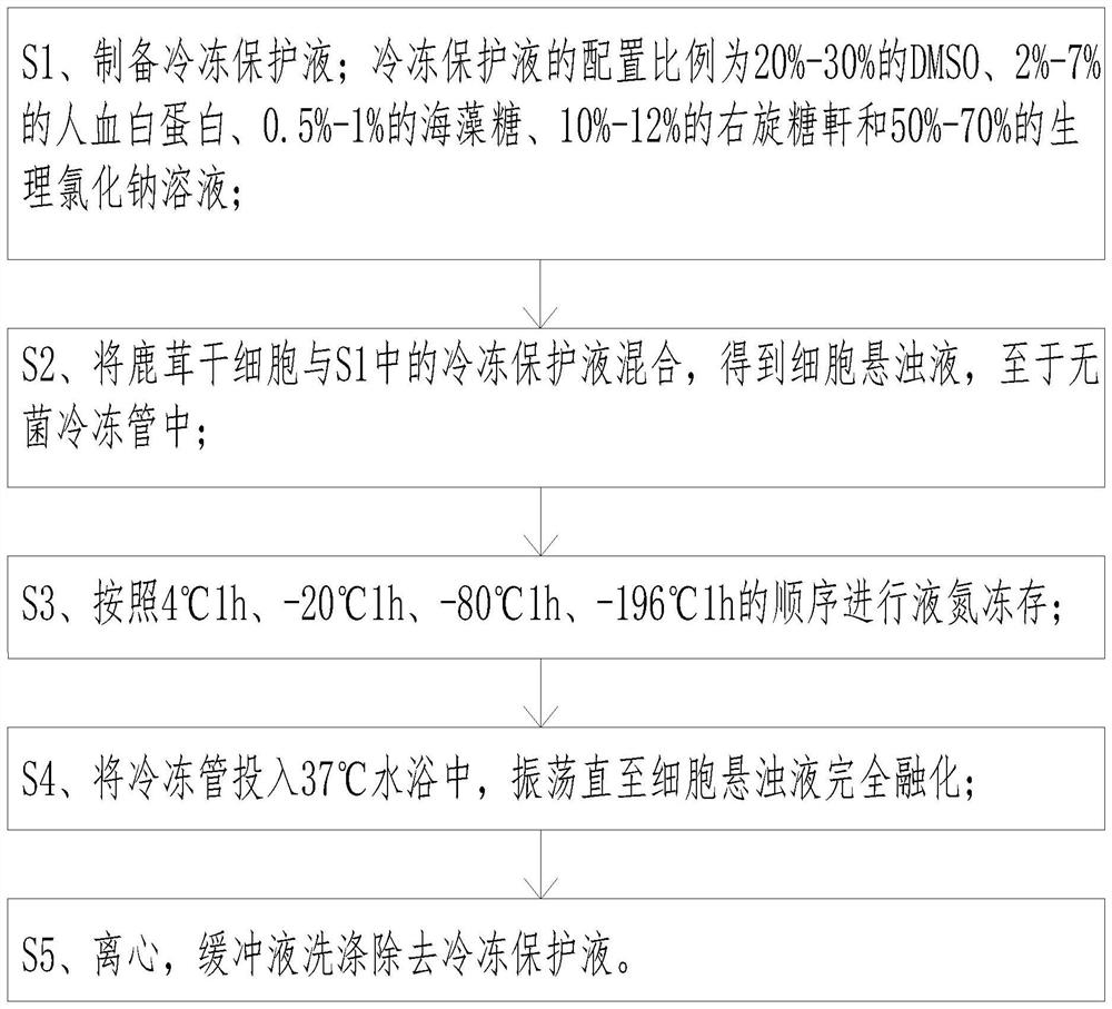 Cryopreservation and resuscitation method for pilose antler stem cells