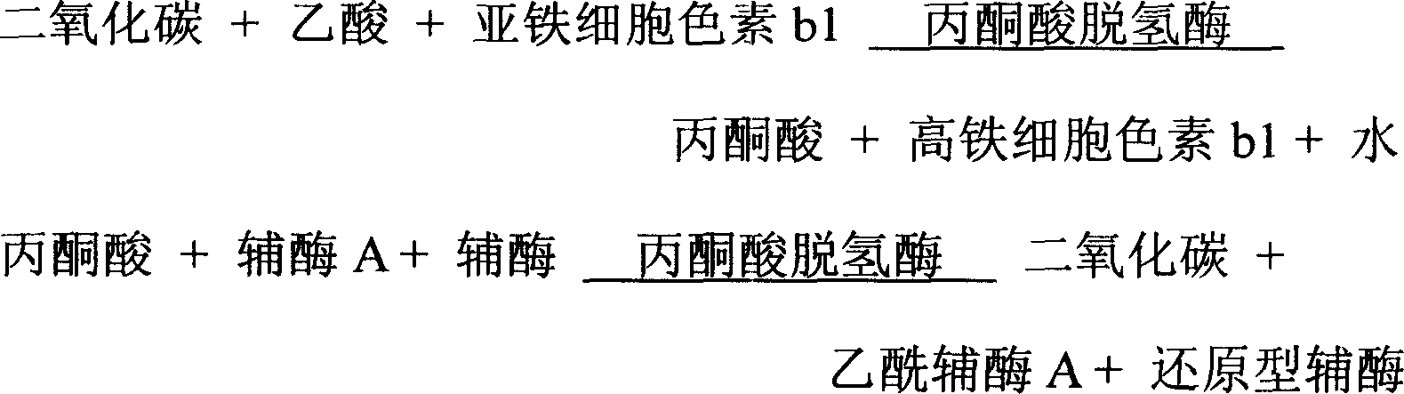 Carbon dioxide diagnosis/ determination reagent kit and carbon dioxide concentration determination method