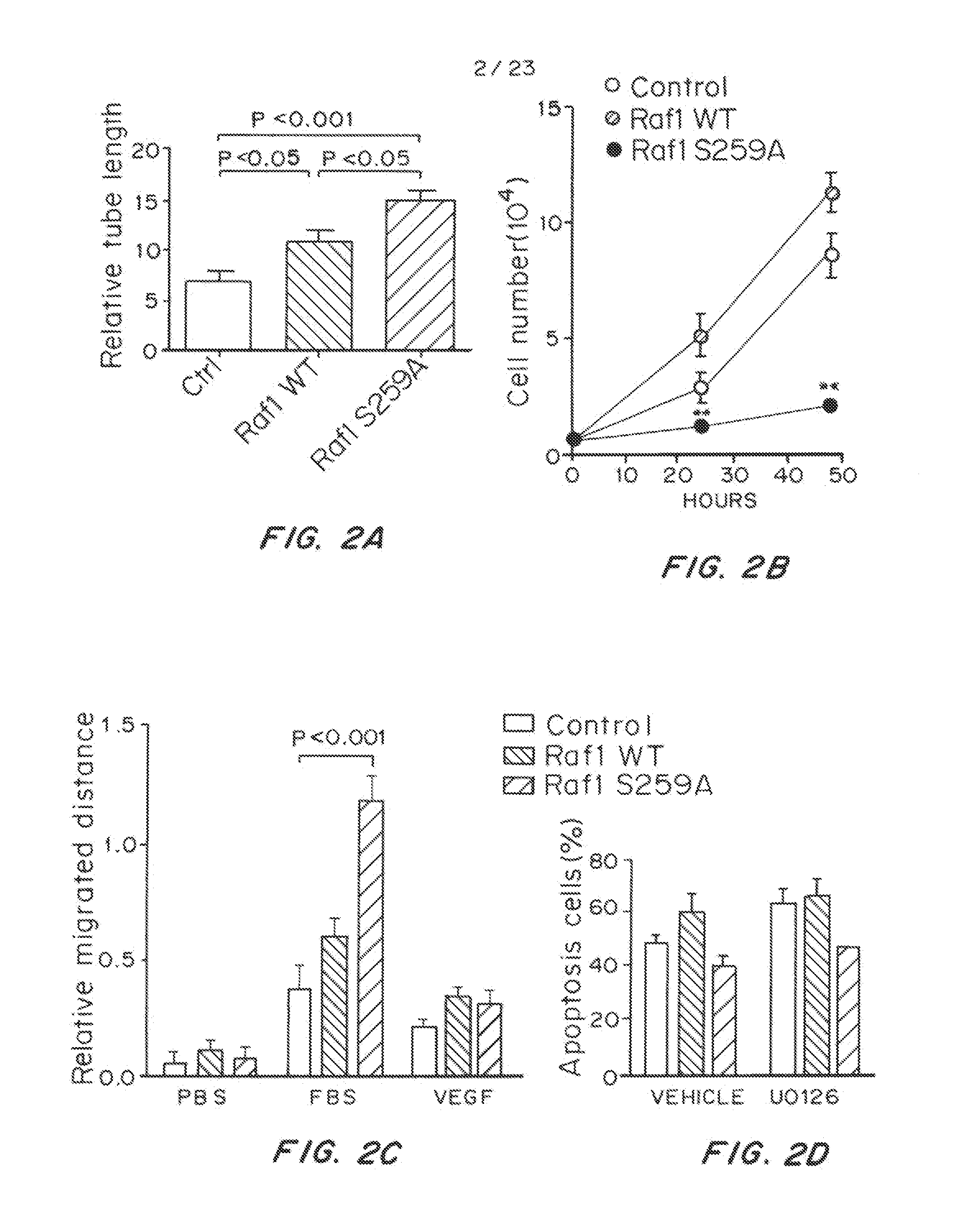 Stimulation of Arterial Collateral Growth and Lymphogenesis