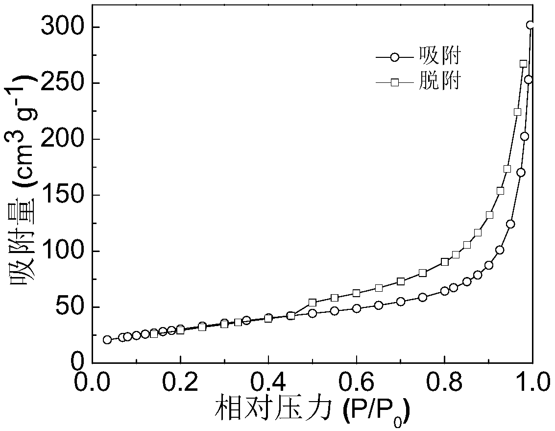 Preparation method of nano-bismuth trioxide graphene composite membrane electrode for detecting lead ions and cadmium ions