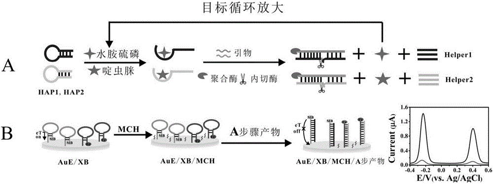 Electrochemical sensor for detecting isocarbophos and acetamiprid at same time and method system of electrochemical sensor