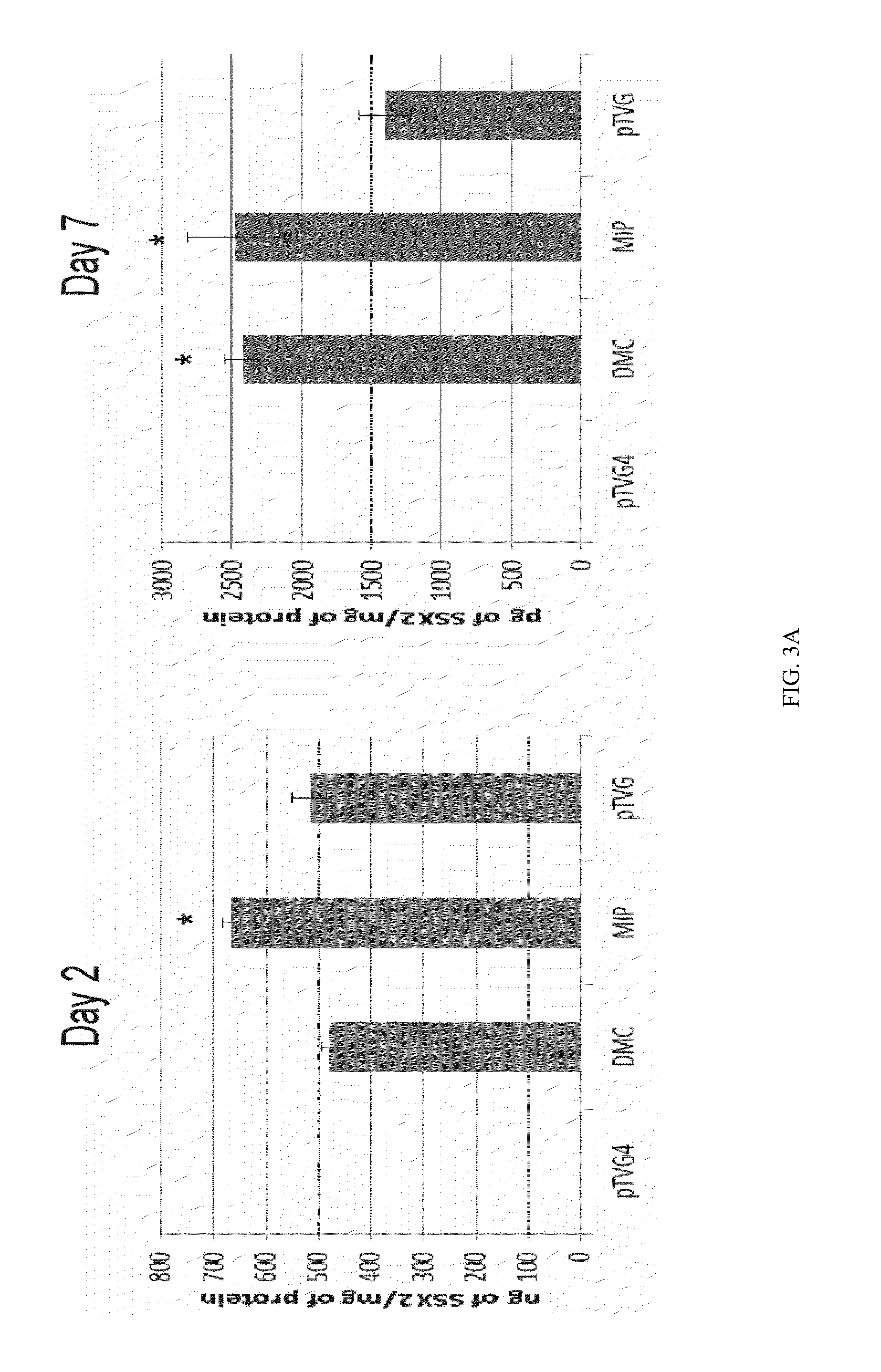 Mini-intronic plasmid DNA vaccines in combination with lag3 blockade