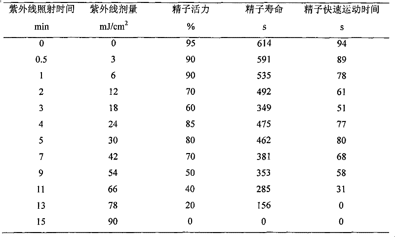 Method for inducing gynogenesis of Siberian sturgeon by using amur sturgeon sperm