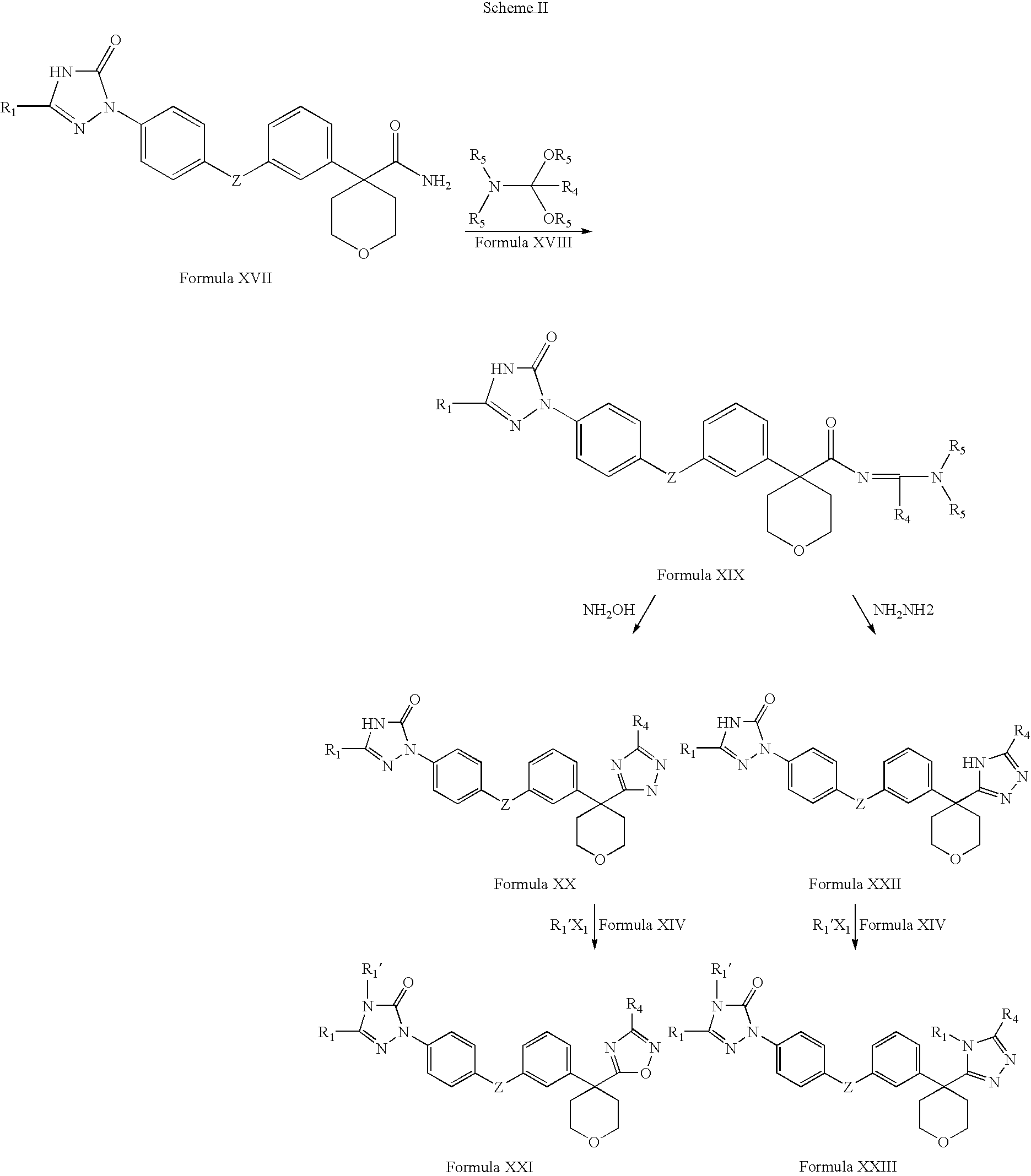 5-lipoxygenase inhibitors