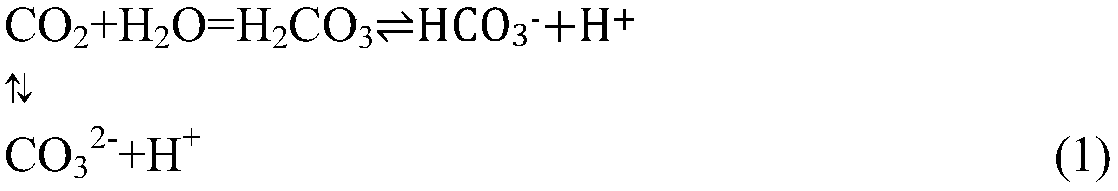 Method for producing light calcium carbonate and magnesium sulfate heptahydrate from salty mud