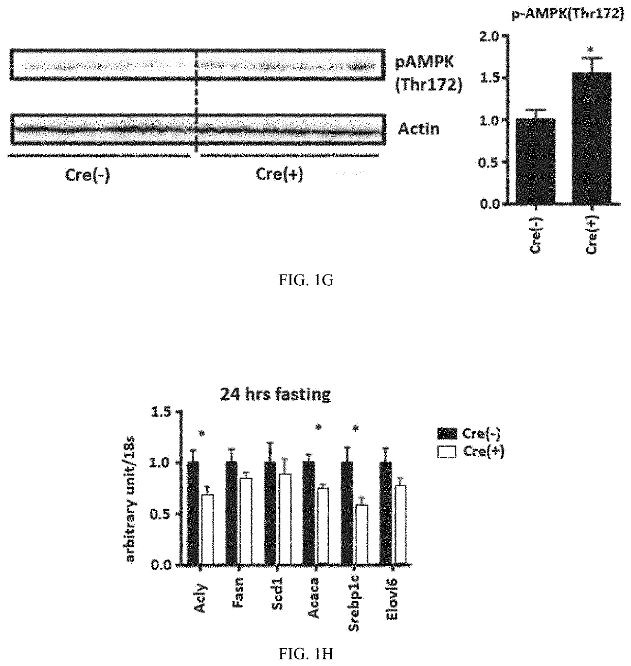 Method to identify compounds useful to treat dysregulated lipogenesis, diabetes, and related disorders