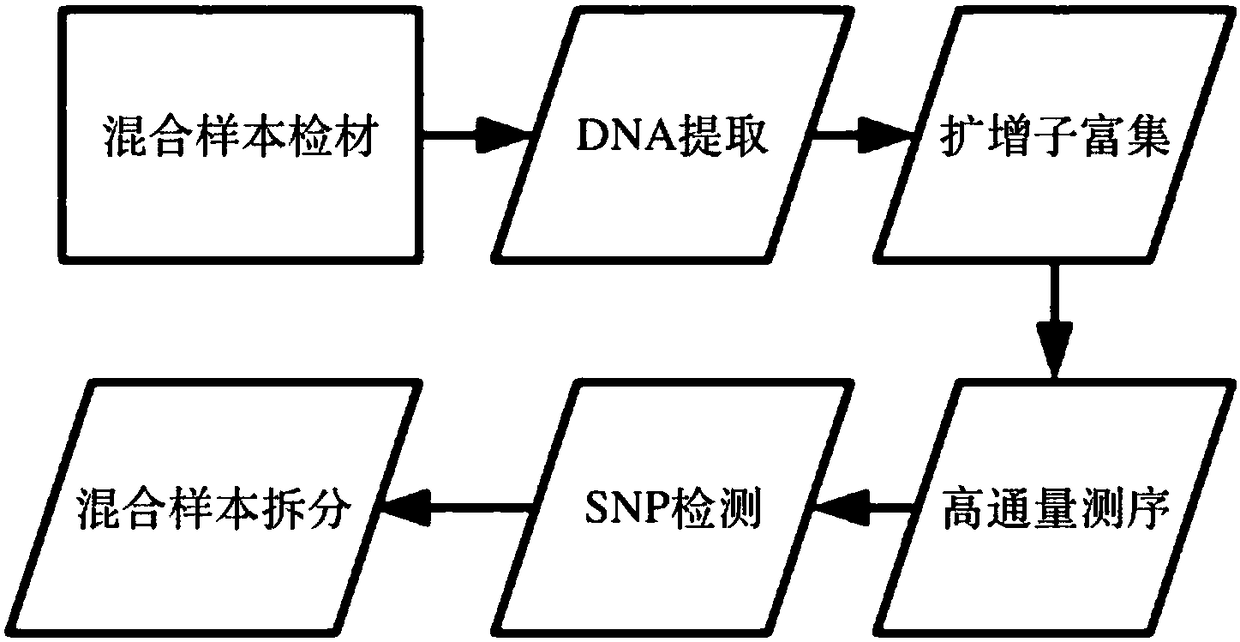 Method for separating mixed samples by SNP detection technology