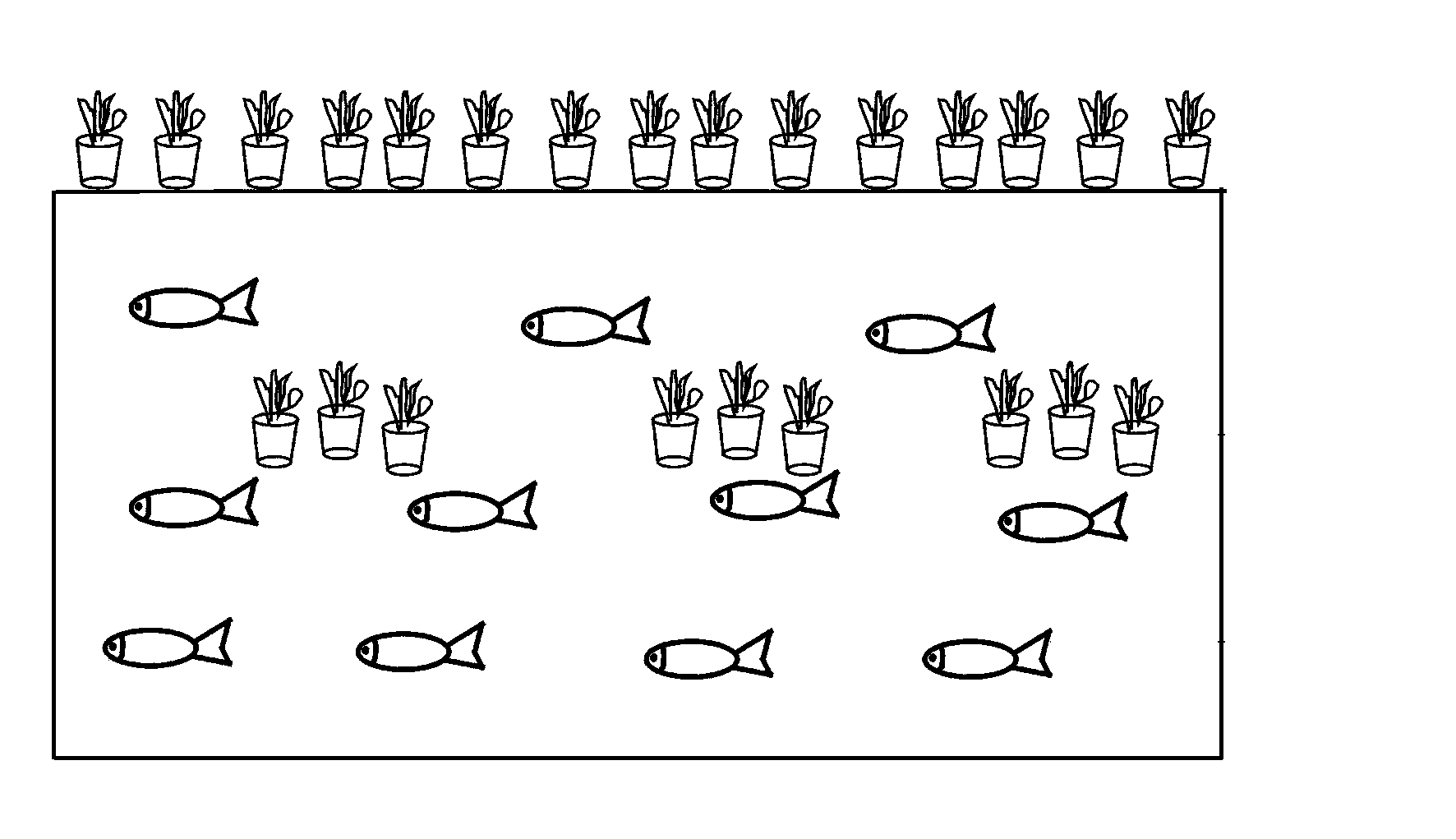 Water body purification system formed by stereoscopic configuration of aquatic animals and plants and purification method thereof