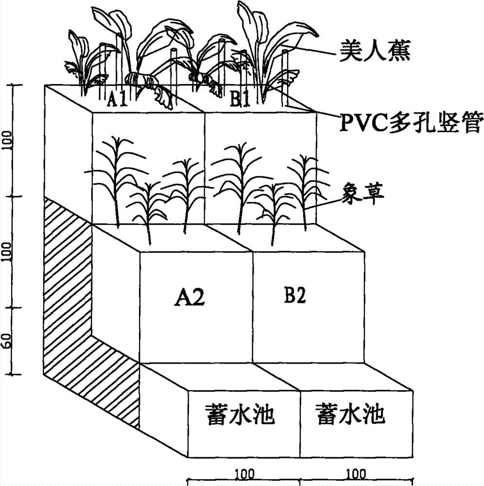 Method and system for treating sewage through composite tidal current artificial marsh