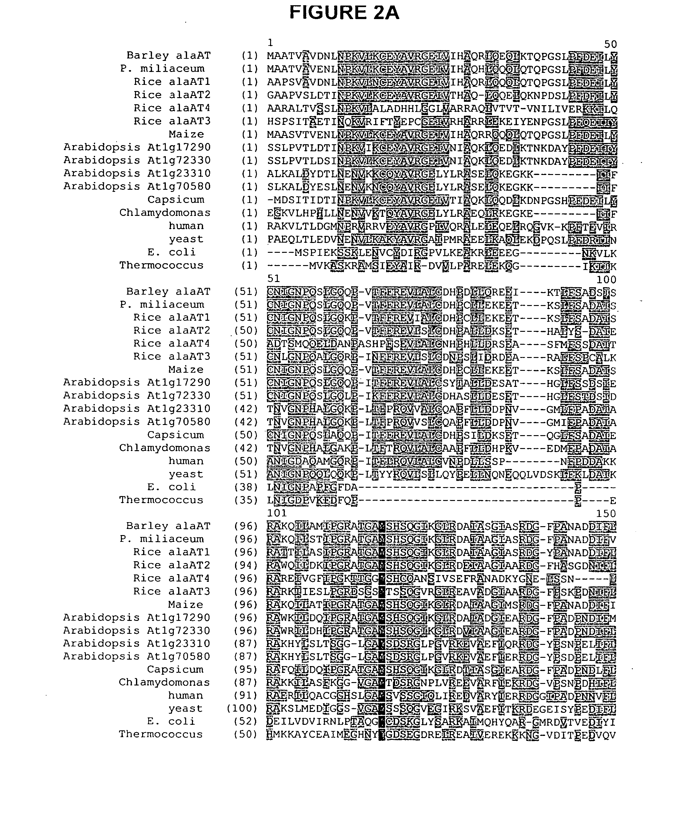 Nitrogen-efficient monocot plants