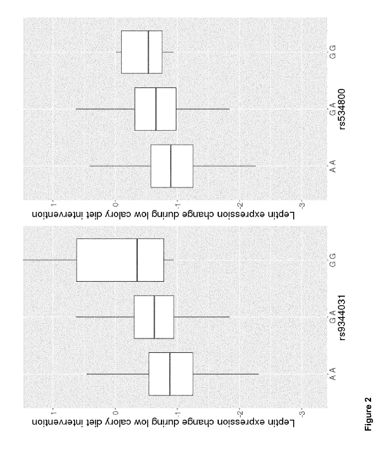 Methods of modulating bckdh