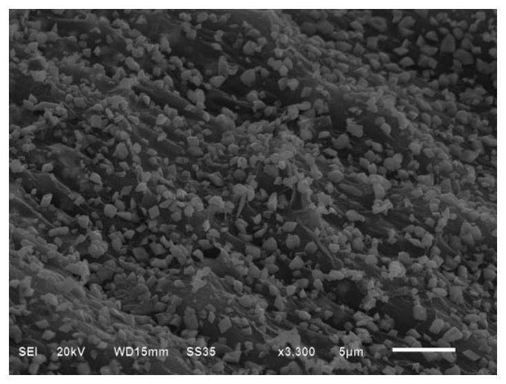 Preparation method and application of visible light responsive organic-inorganic hybrid membrane