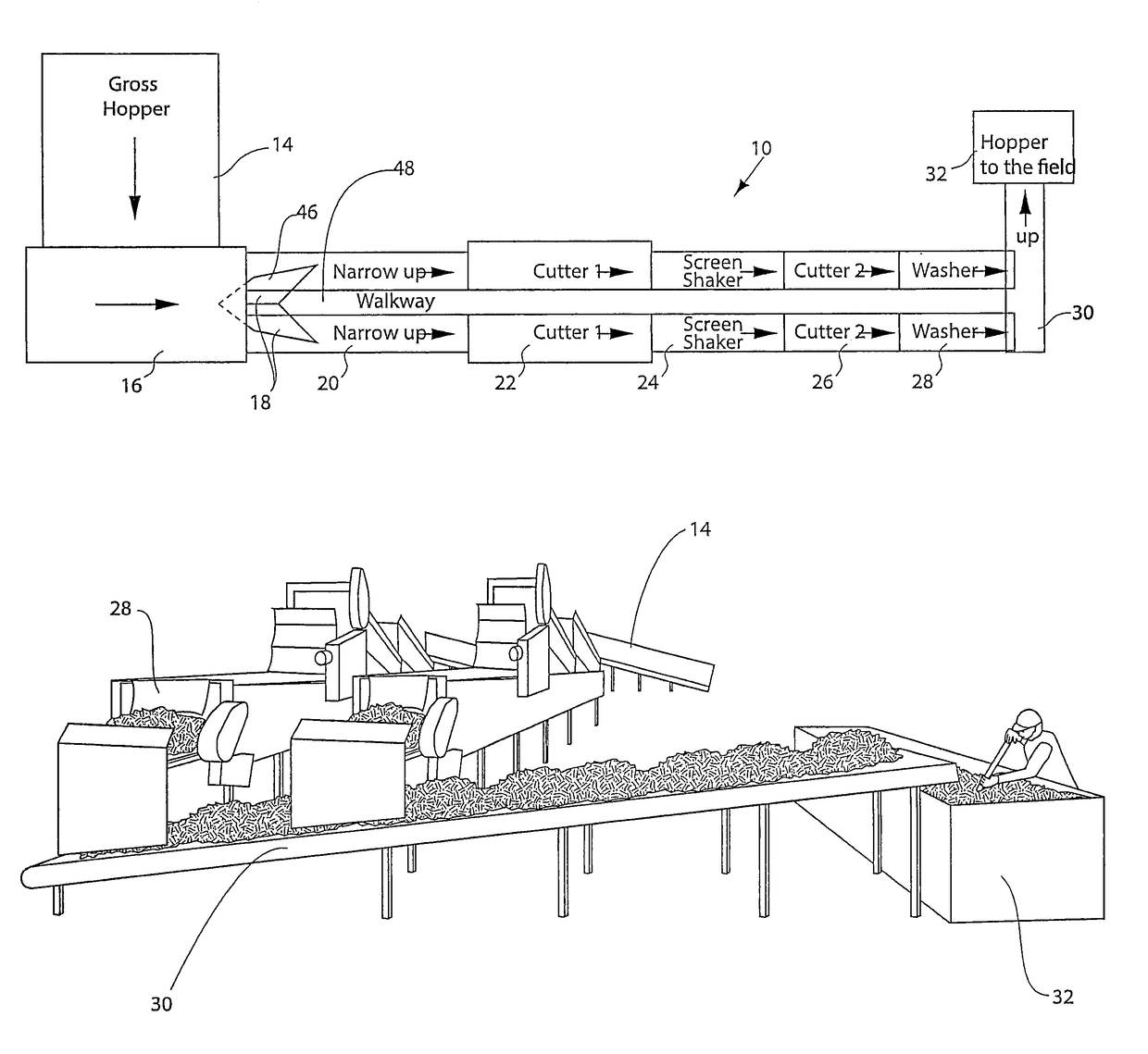 Processor for rhizomes and the like