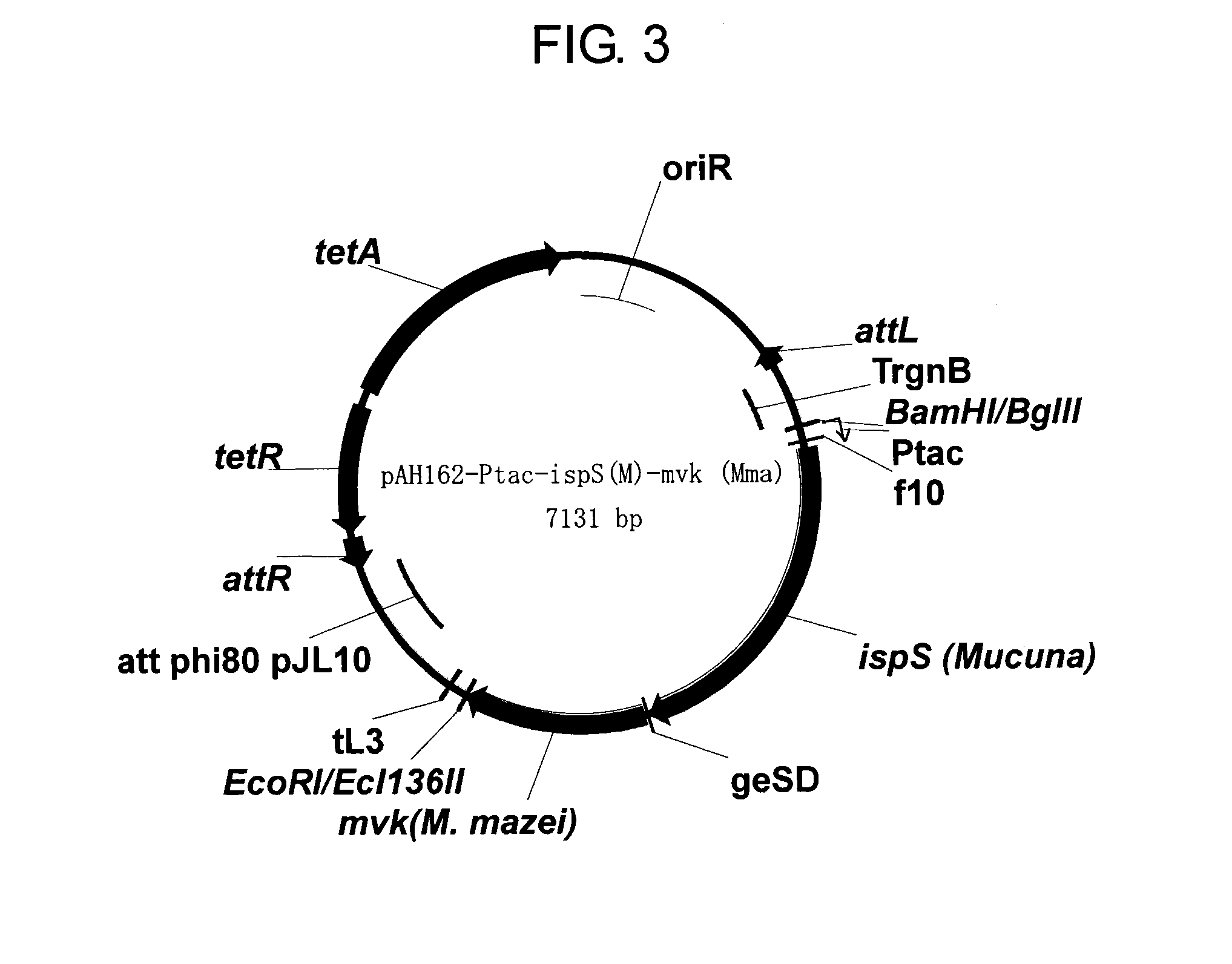 Method of producing isoprene monomer