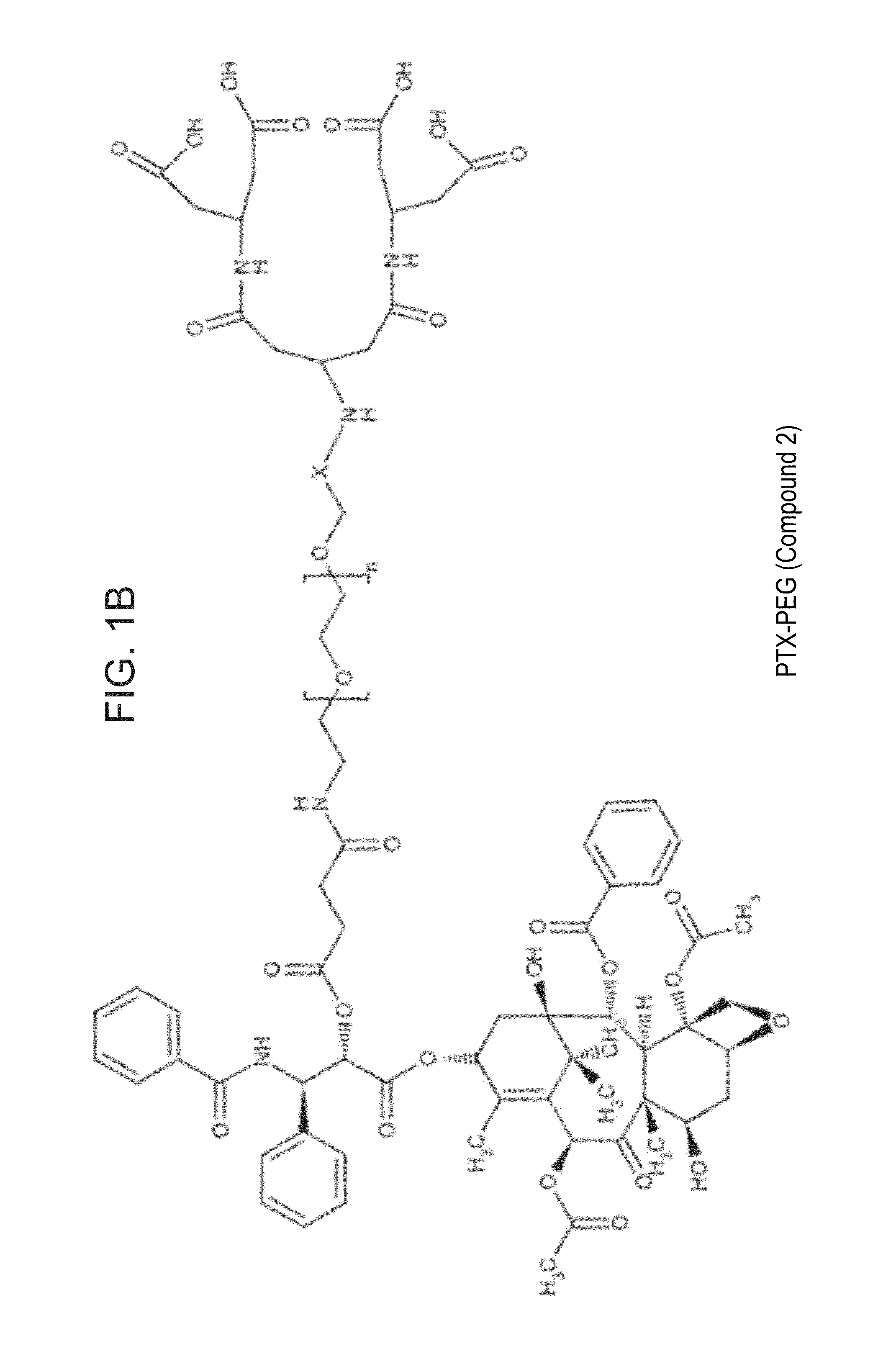 Targeted polymeric conjugates and uses thereof