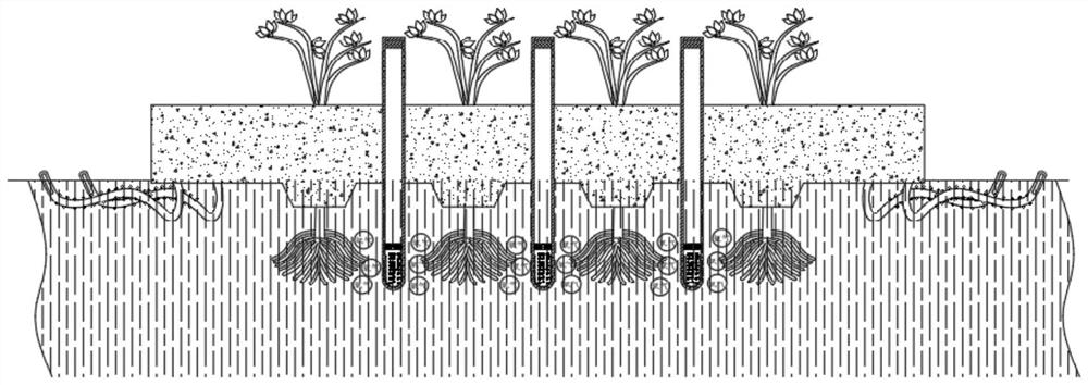 Novel ecological floating island for agricultural non-point source pollution prevention and control