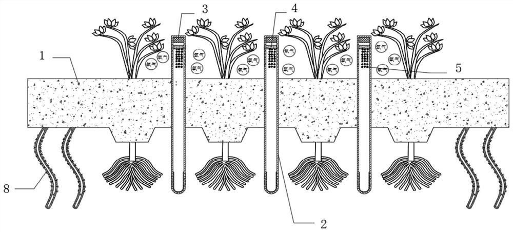 Novel ecological floating island for agricultural non-point source pollution prevention and control