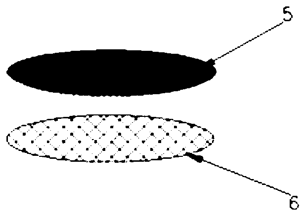 Method for separating and purifying placental blood by using protective fluid and placenta squeezer and method for resuscitating placental blood