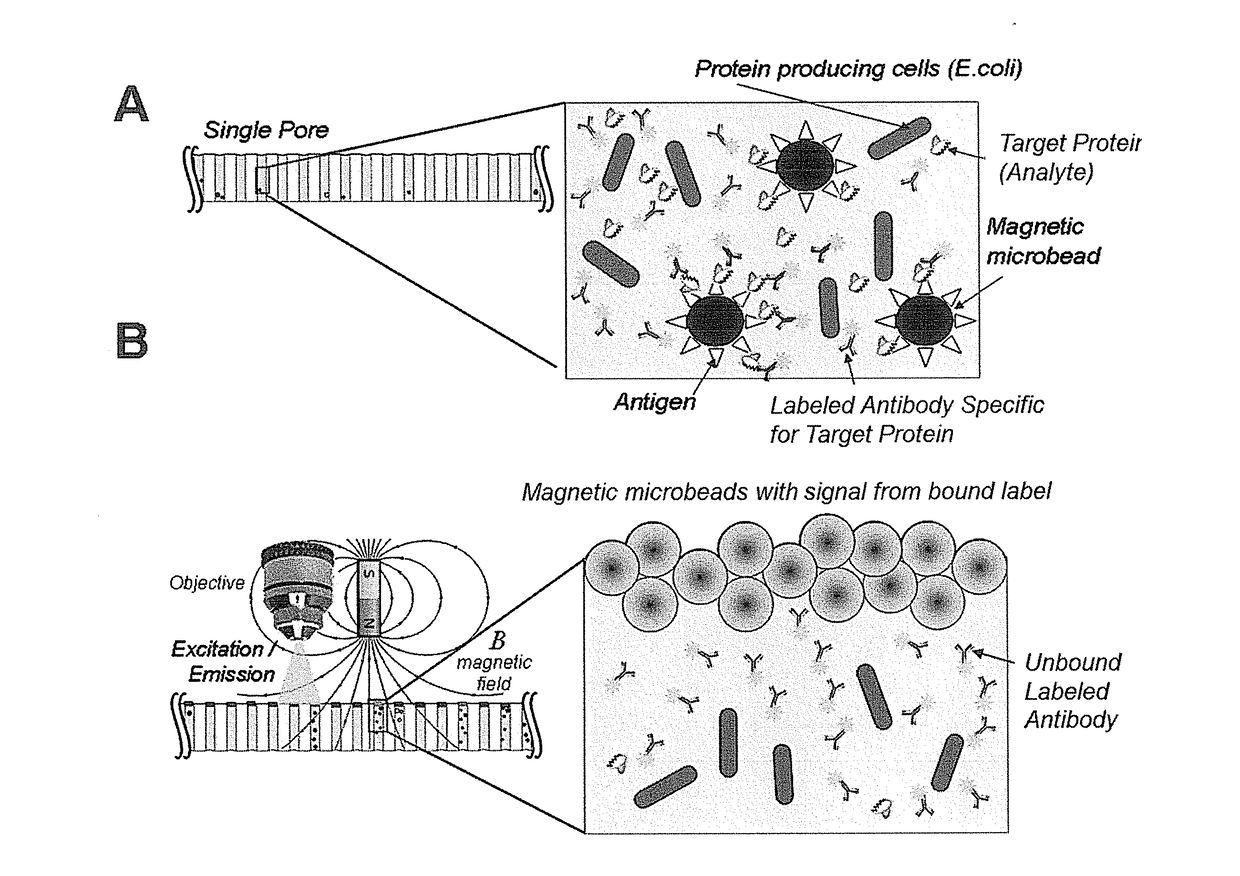 Scalable Bio-Element Analysis