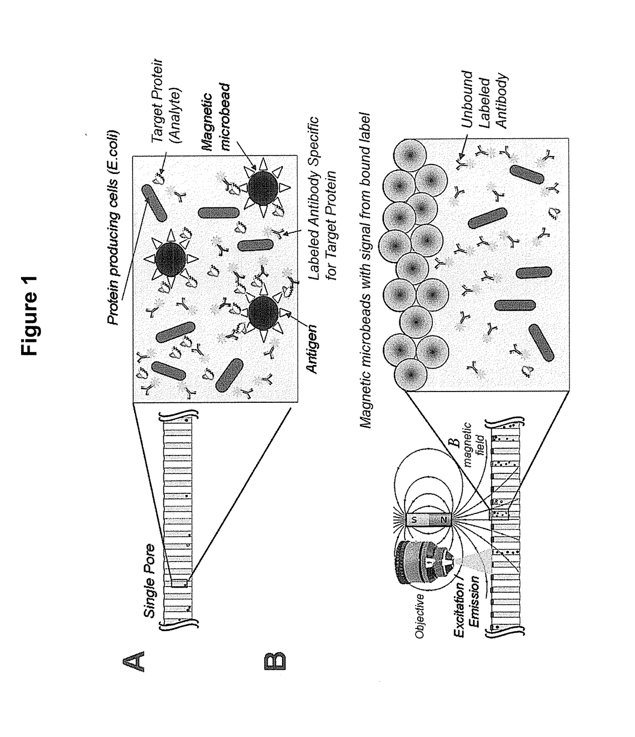 Scalable Bio-Element Analysis