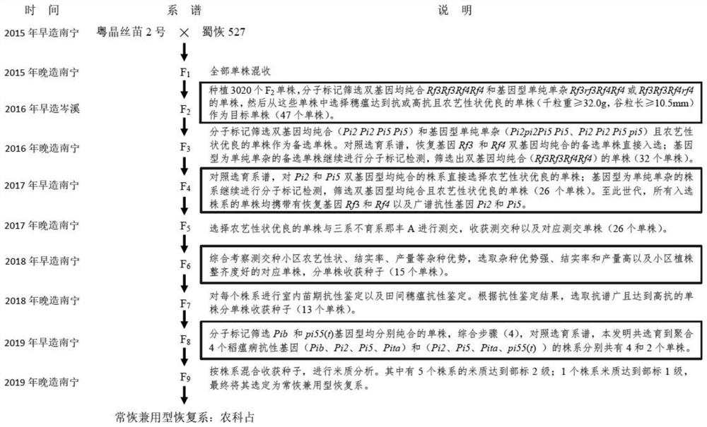 Molecular breeding method of a first-class high-quality long-heavy-grain, broad-spectrum resistance to rice blast and a combined-use restorer line of rice