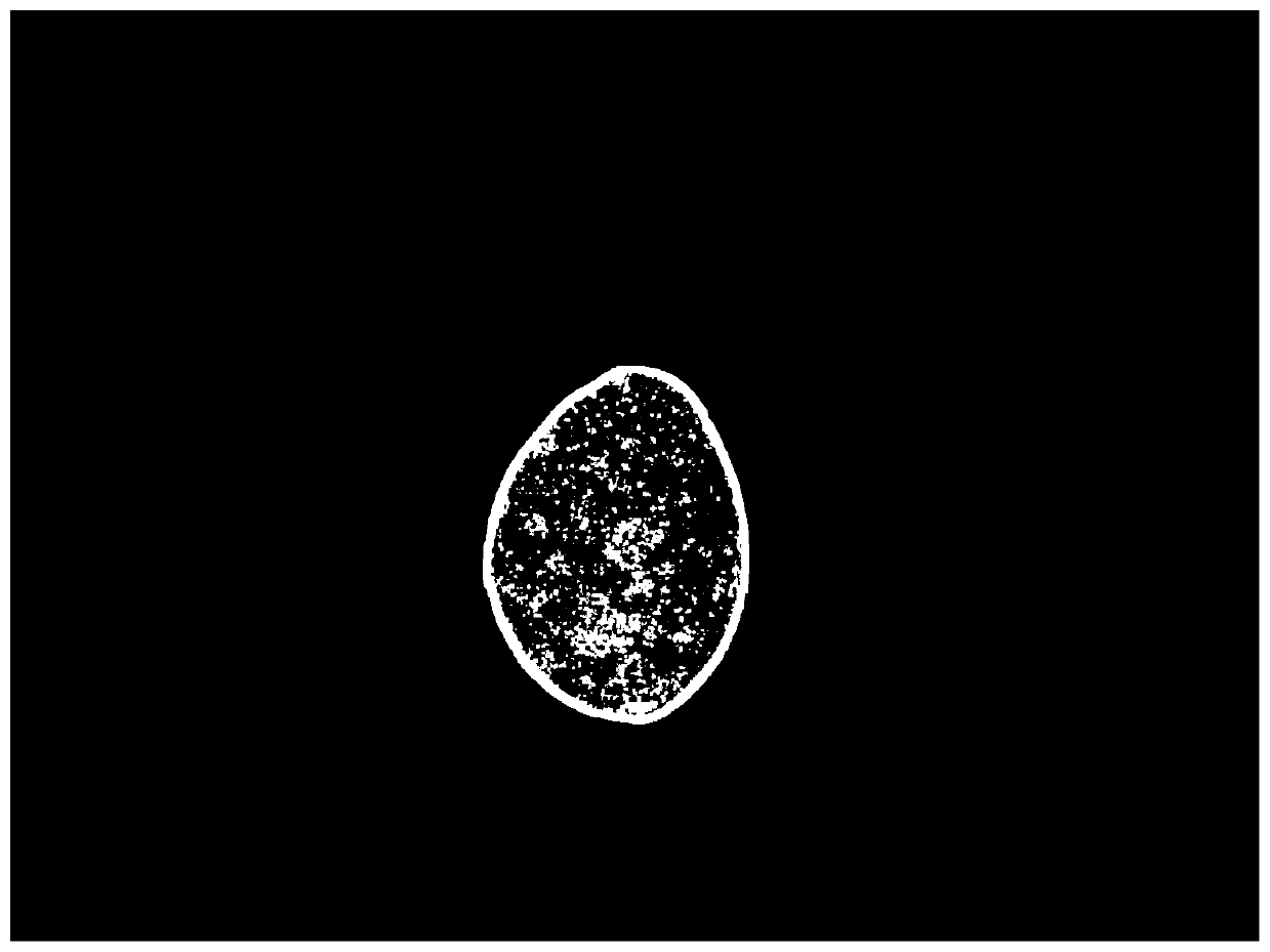 Potato scab detection method