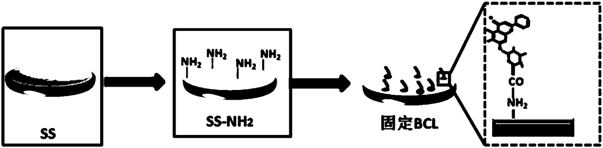 Baicalin-modified amino-rich scaffold material as well as preparation method and application thereof