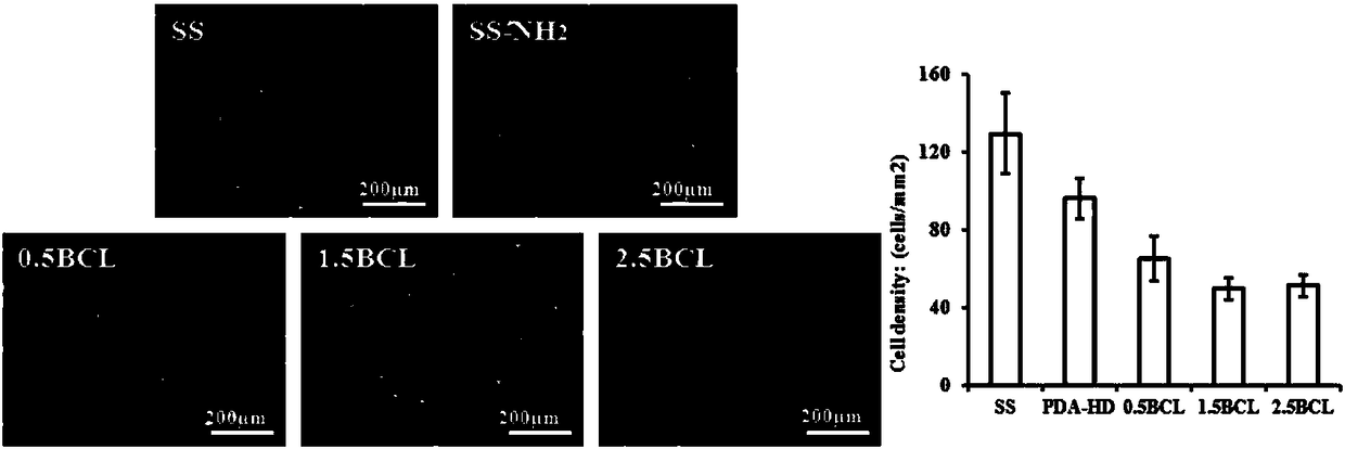 Baicalin-modified amino-rich scaffold material as well as preparation method and application thereof