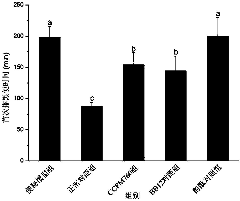 Bifidobacterium longum and applications thereof