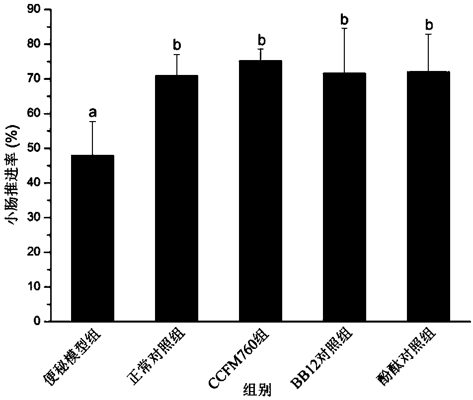 Bifidobacterium longum and applications thereof