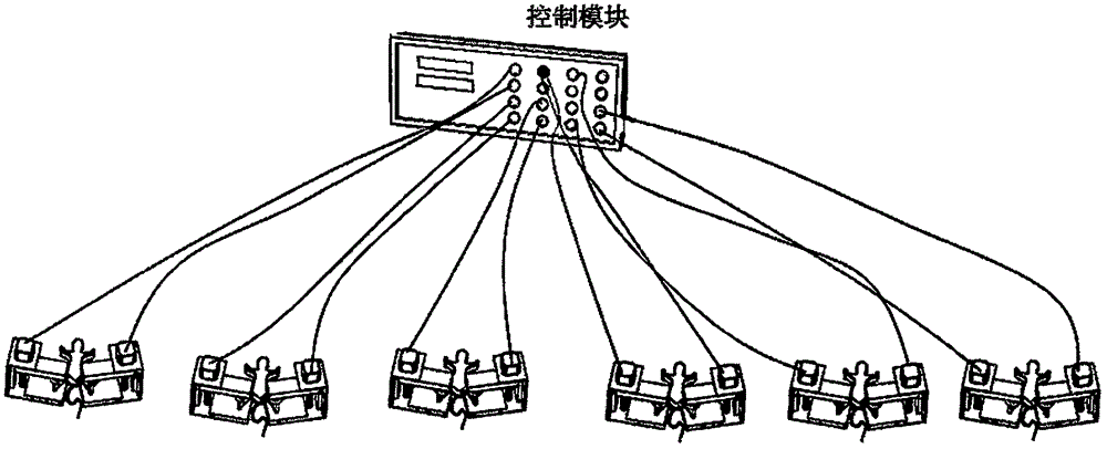 Animal crush injury simulation platform