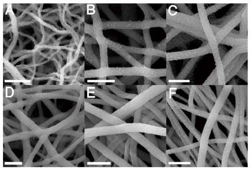 Composite nanofiber material and preparation and application thereof