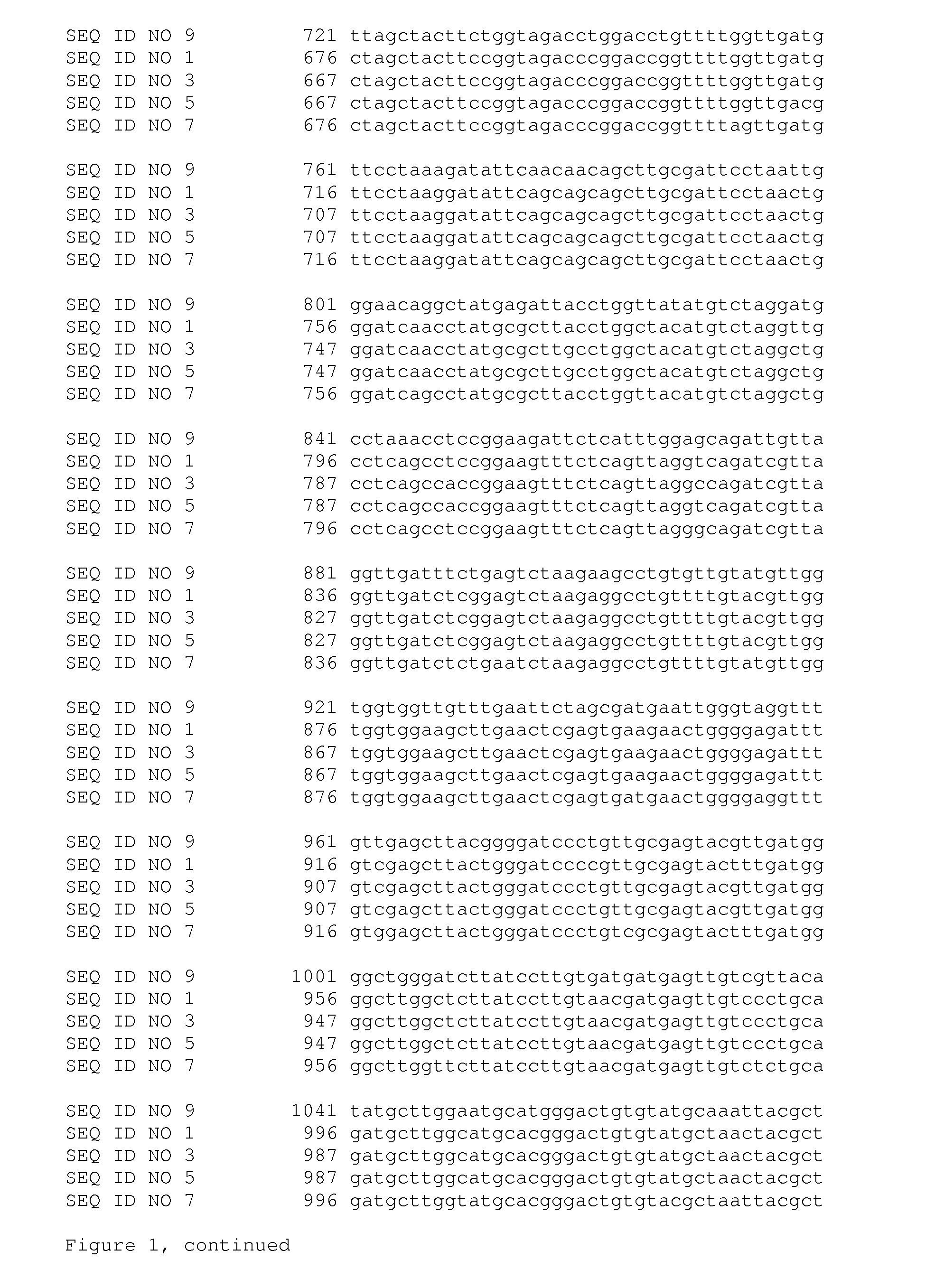 Als inhibitor herbicide tolerant mutant plants