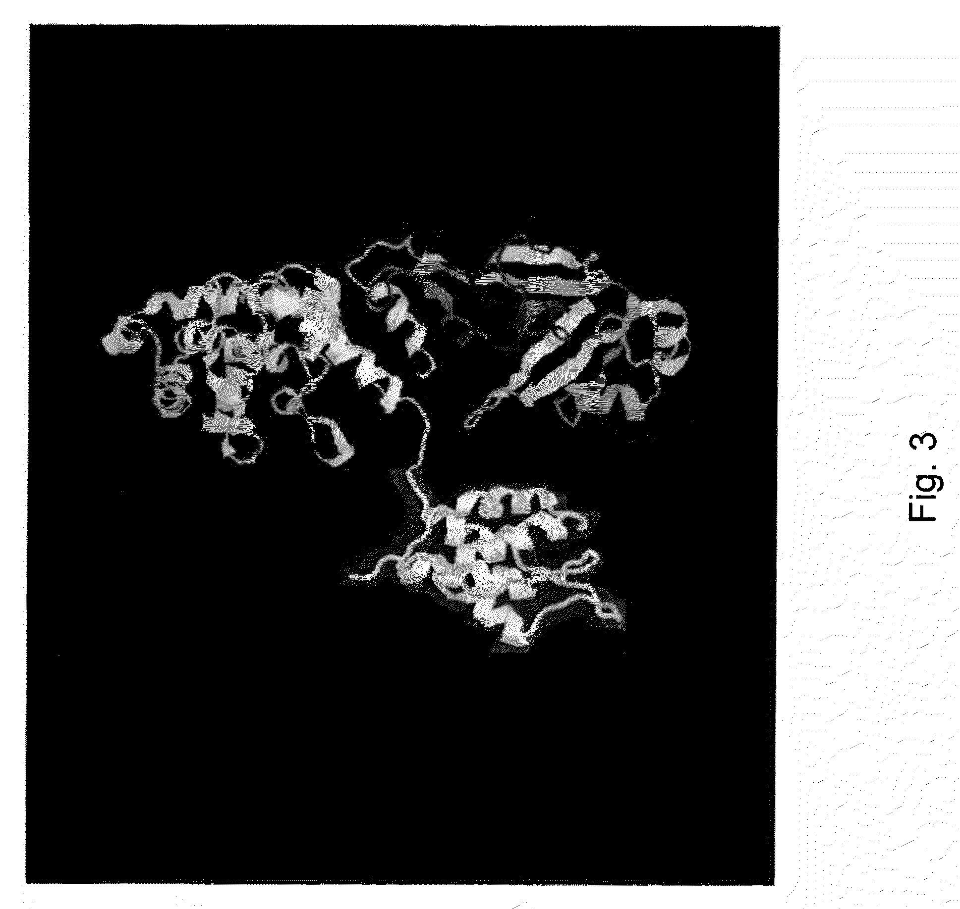 Methods and compositions based on diphtheria toxin-interleukin-3 conjugates