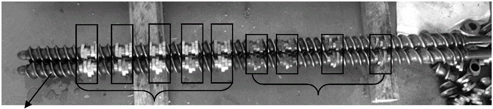 Method for preparing wheat texturized fiber protein by twin-screw high-moisture extrusion and wheat texturized fiber protein