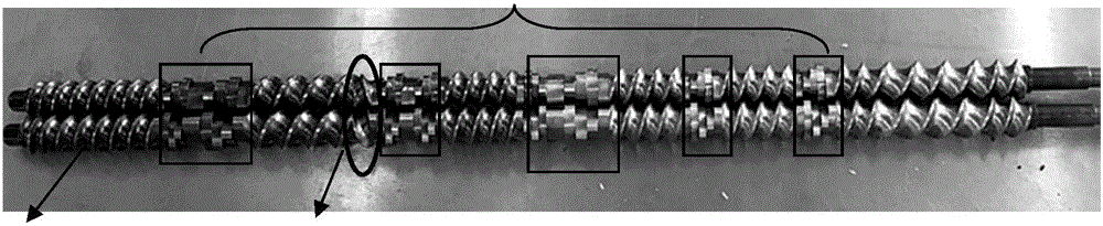 Method for preparing wheat texturized fiber protein by twin-screw high-moisture extrusion and wheat texturized fiber protein