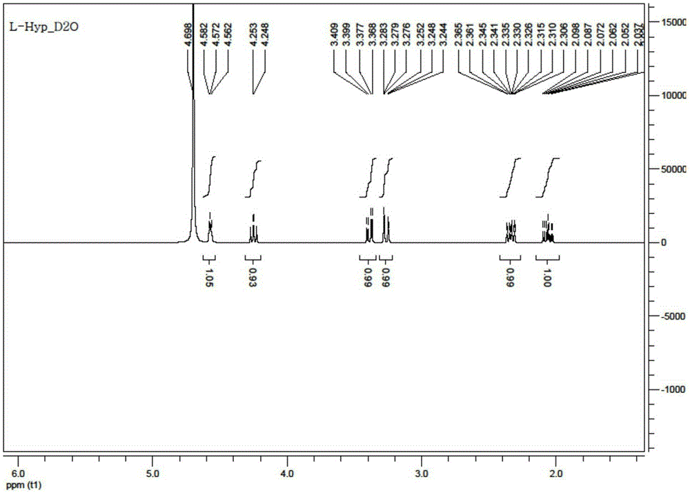 Preparation method of L-hydroxyproline