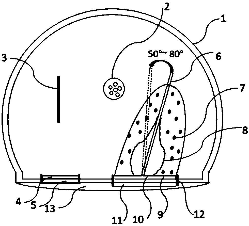 Photoacoustic and ultrasonic dual-mode endoscopic imaging device and method based on light reflection