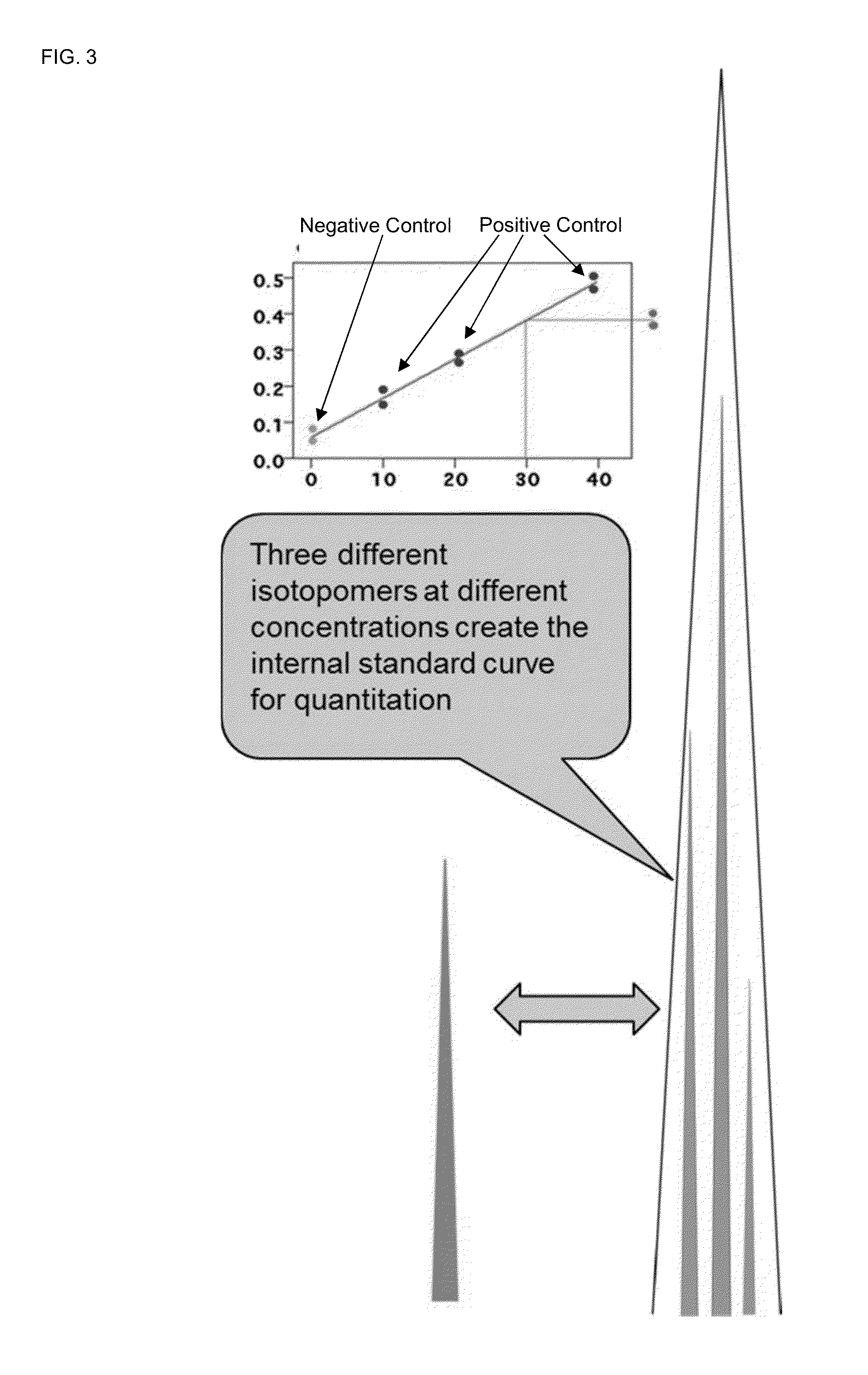 Absolute quantitation of proteins and protein modifications by mass spectrometry with multiplexed internal standards