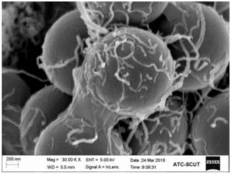 Preparation method of polymer/graphene/carbon nanometer tube composite material