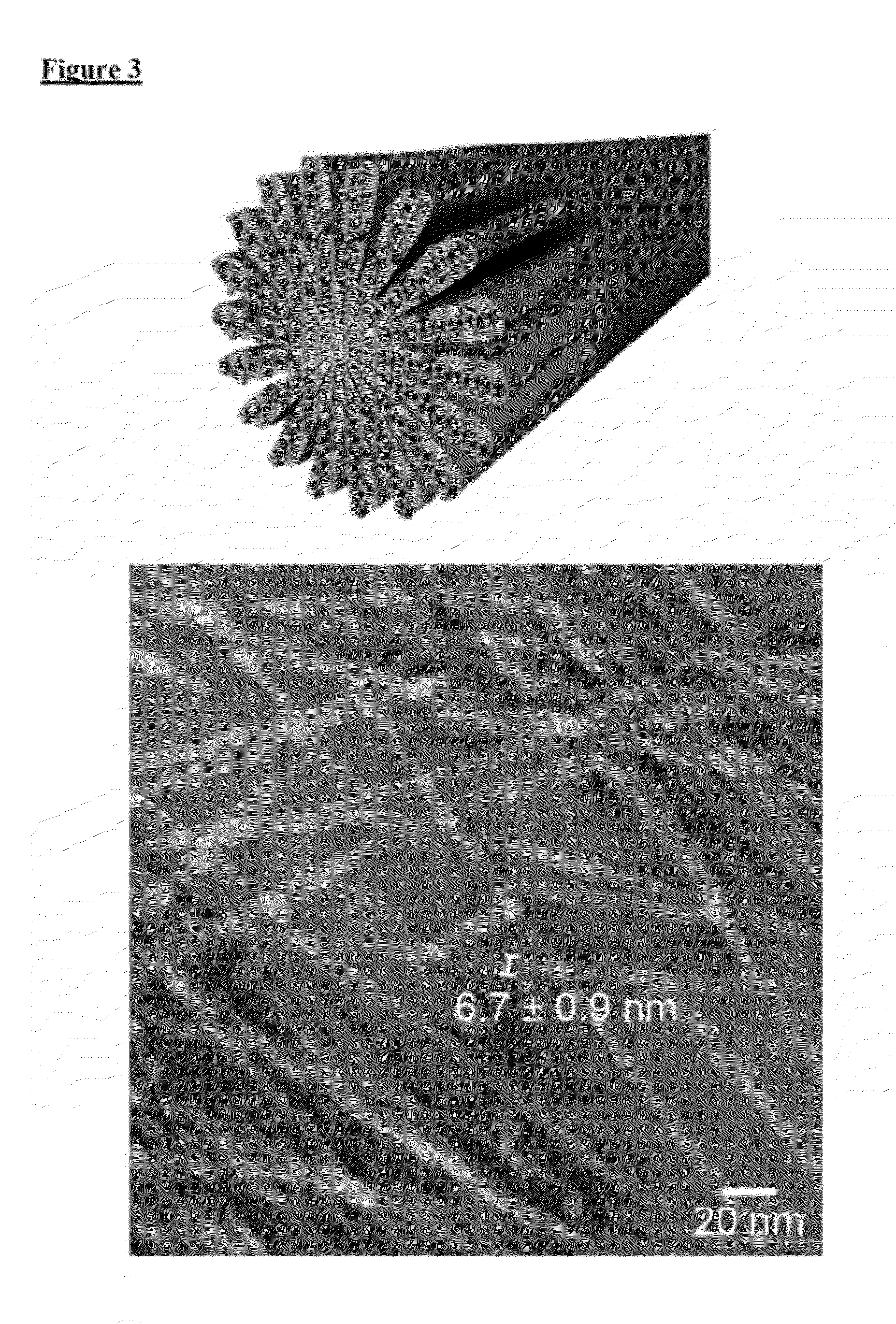 Peptide amphiphiles and methods to electrostatically control bioactivity of the ikvav peptide epitope