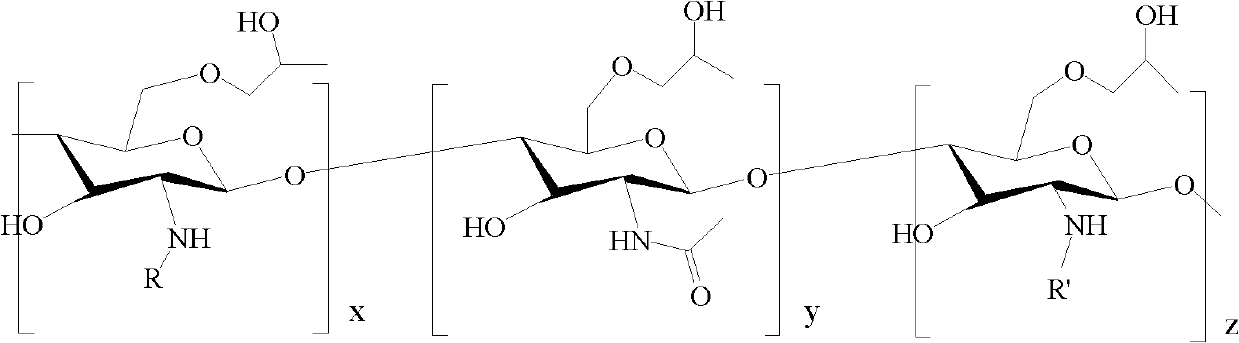 Amphiphilic chitosan derivative, its preparation method and its application in medicinal preparation