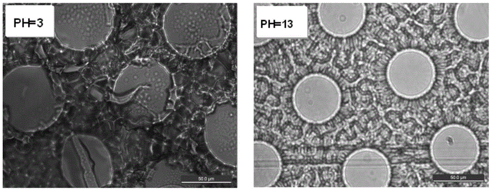 A method for preparing dual stimuli-responsive surfaces by secondary photopolymerization