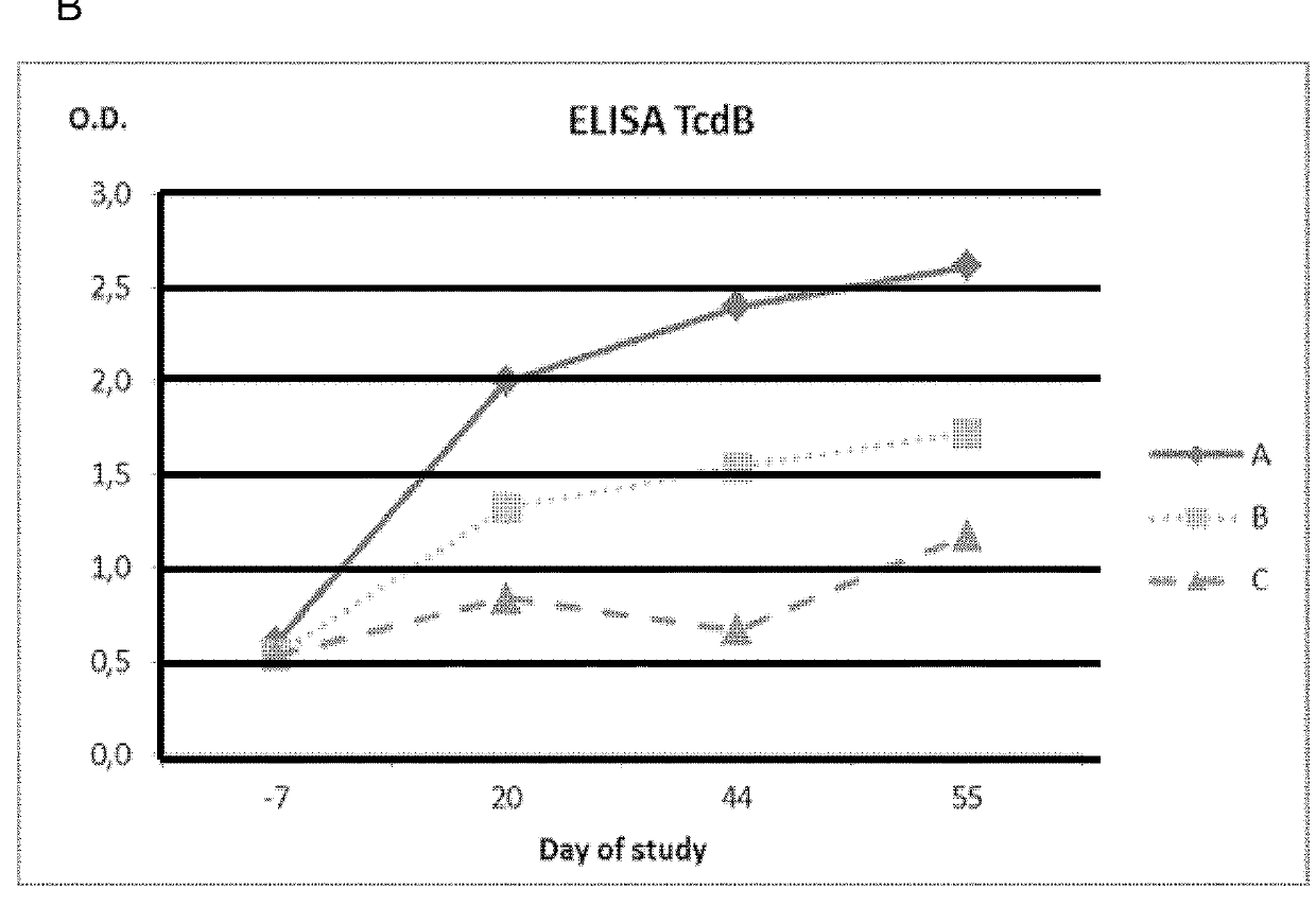 Vaccine comprising clostridium toxoids