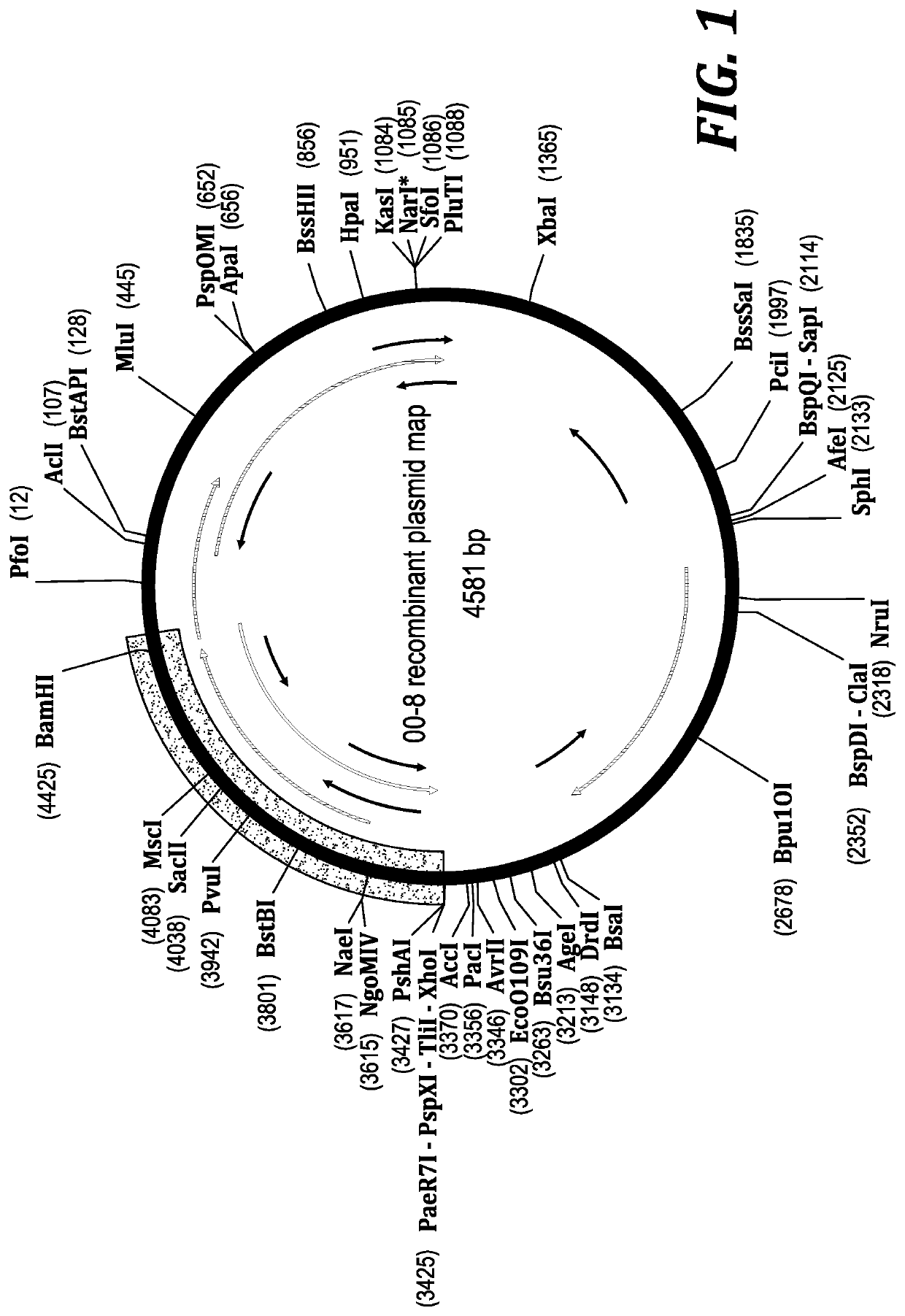 Method for biocatalytic synthesis of Sitagliptin and intermediate thereof