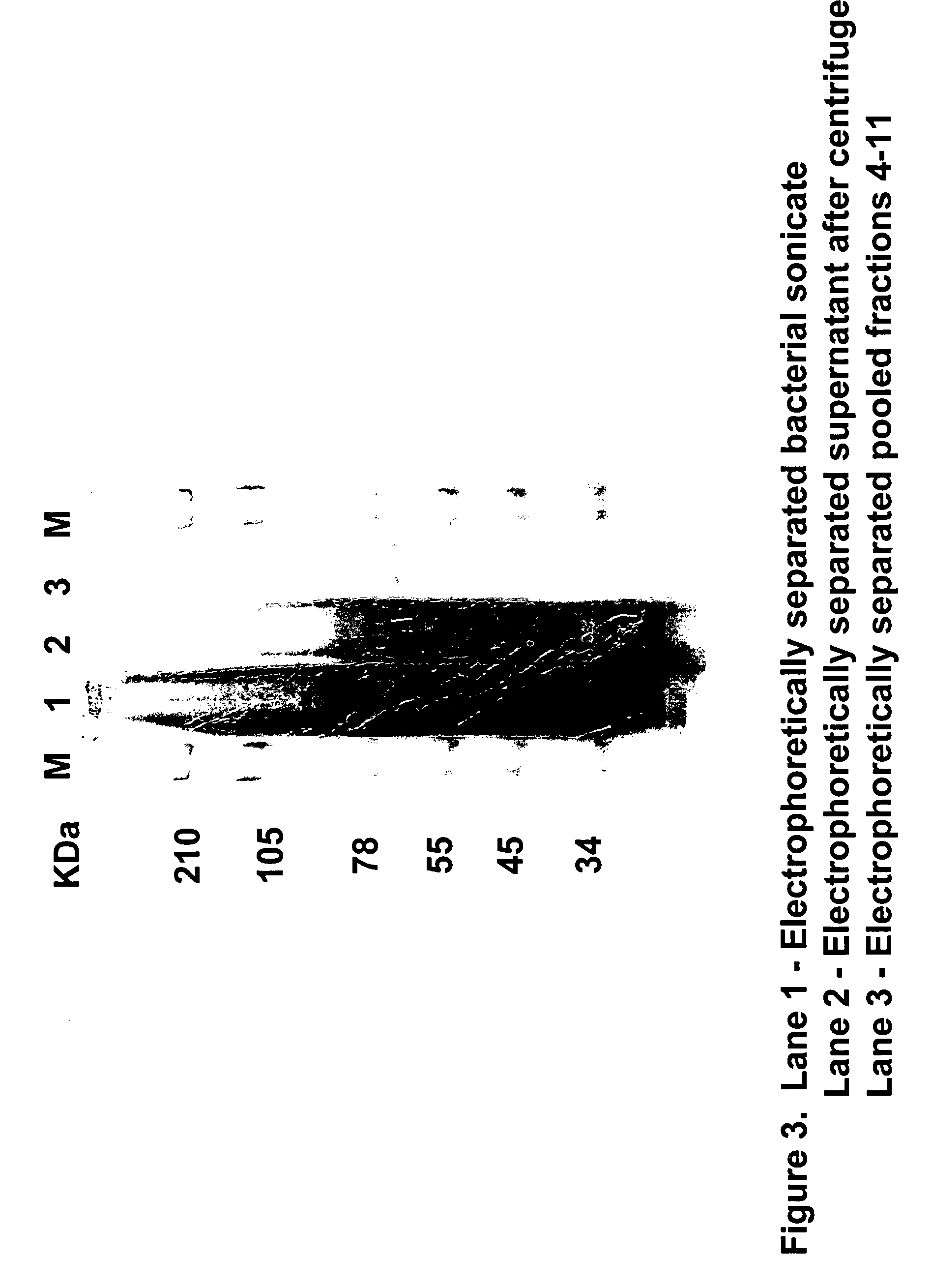 Novel therapeutic agents for the treatment of cancer, metabolic diseases and skin disorders