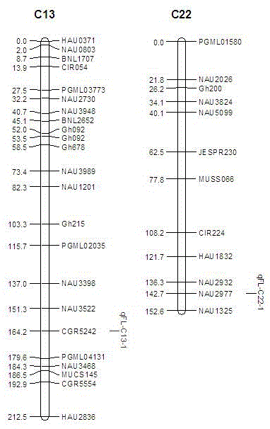 Molecular marker linked with sea island cotton fiber length of cotton