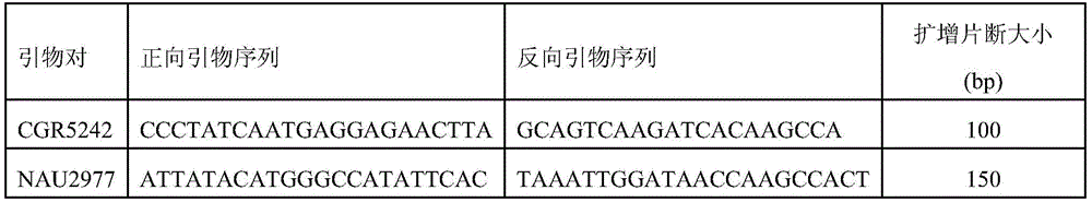 Molecular marker linked with sea island cotton fiber length of cotton