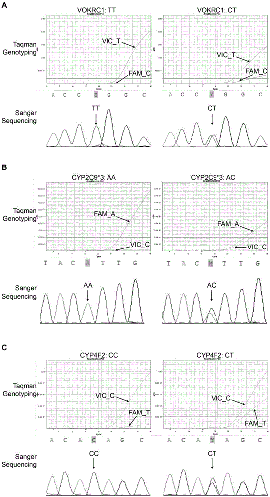 Primer-probe combination and kit for detecting associated genotyping of warfarin medication